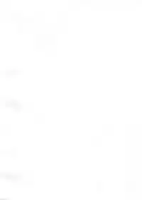 (C95) [Sakekan Memorial (SOLOPIPB)] Shiragasane -Tsuzure- [English] [TSHH]