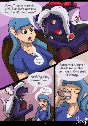 The Liquor Witch's Potion Pitch