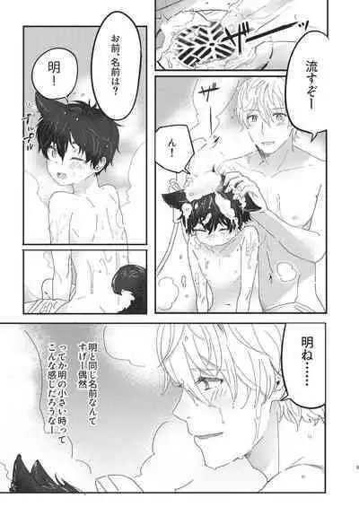 [Honoji (Housengo)] Tooru, Inu o Kau (Tedaremonra) [Digital]