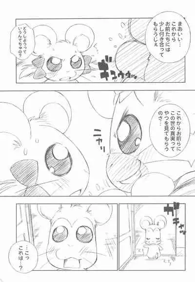 BATTLE FOR THE PLANET OF THE HAMS