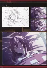 Dies irae Visual Fanbook - Black Book