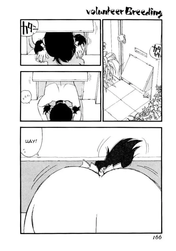 Volunteer Breeding Ch.8