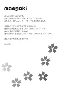 (C84) [TRIP SPIDER (niwacho)] cado2 (Fate/stay night)