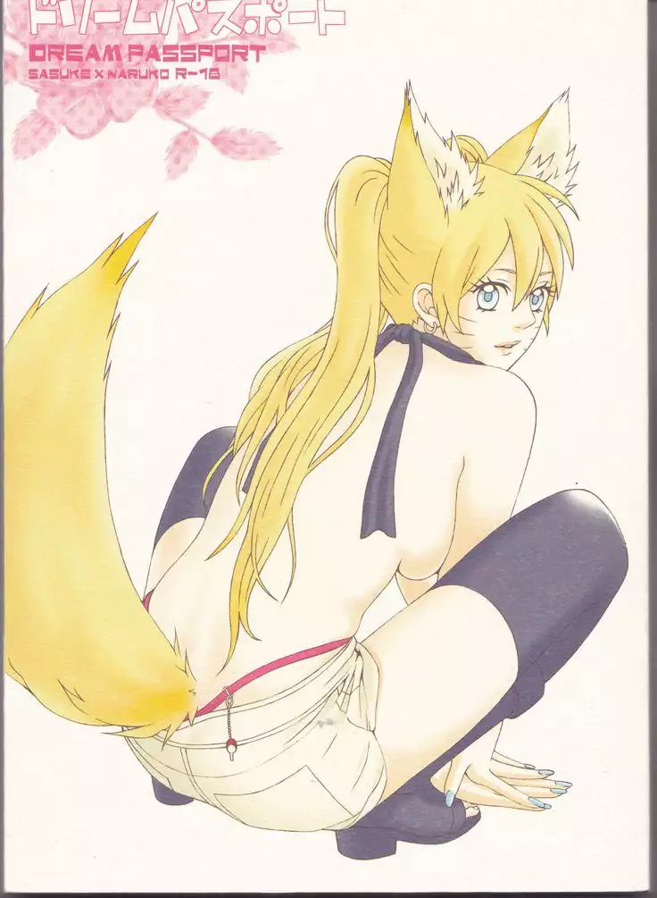 Dream Passport part 1