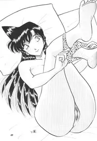 (C64) [Studio Boxer (Shima Takashi, Taka)] HOHETO 27 (Detective Conan)