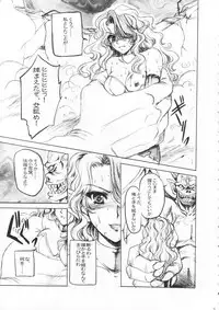 (C80) [Gin no Hoshitei] ANOTHER ZONE (Outerzone)