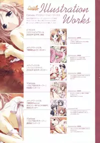 Canvas Sepia iro no motif Visual Fan Book