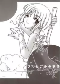 [AKABEi SOFT (Alpha)] Sora wo Suberu Mono (Mobile Suit Gundam ZZ)