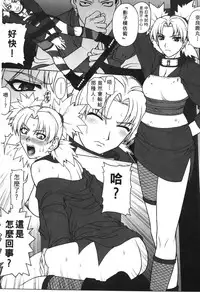 [Kishimoto Saisi] naruto ninja biography vol.06 (naruto) [chinese]