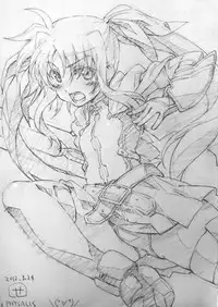 (C87) [PHYSALIS (Seresu)] Roughbon 2 (Mahou Shoujo Lyrical Nanoha)