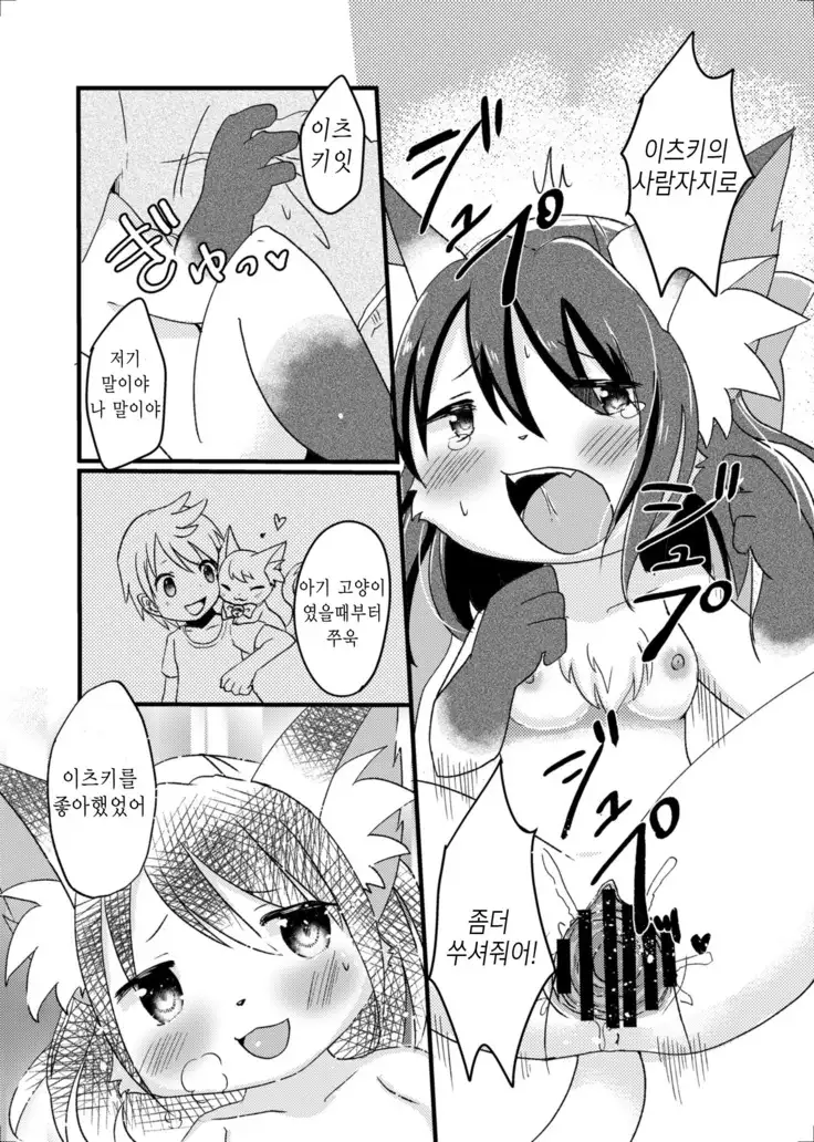 Nekomata no Tamaki-chan