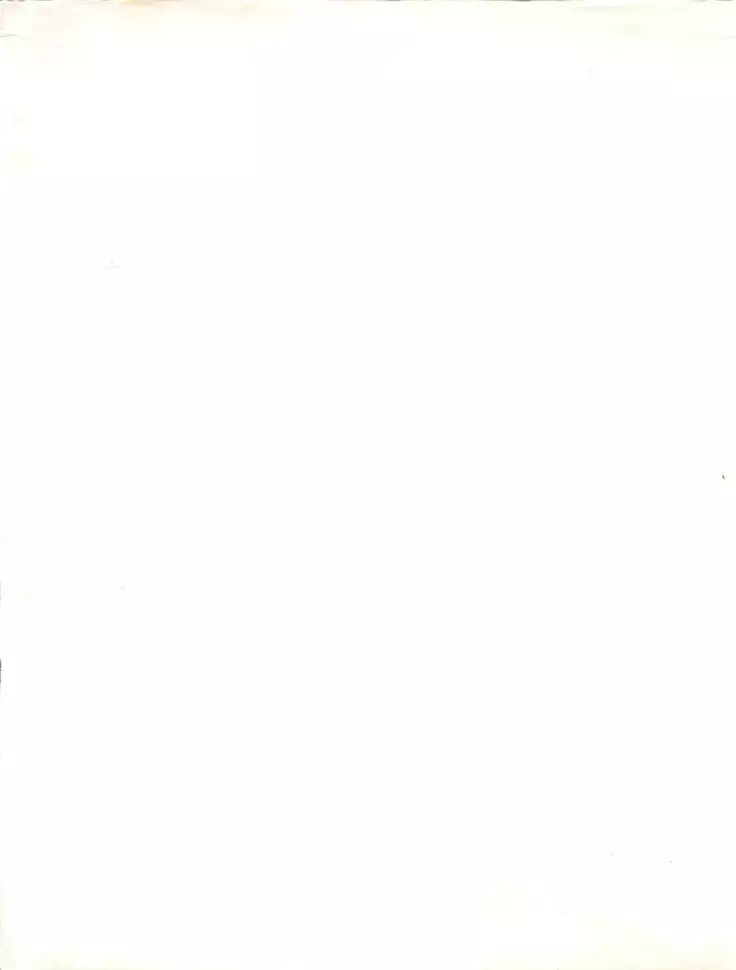 ORANGE GALLERY SAKATA SPECIALl