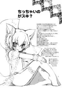 (C76) [TAKANAEDOKO (Takanae Kyourin)] 20090816