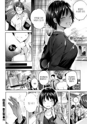 Hatsujou Beam | 발정빔