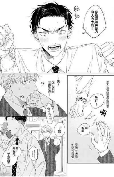 Hatsukoi ni wa Kanawanai! | 敌不过的初恋!