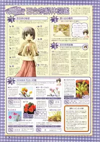 Canvas Sepia iro no Motif Visual Fanbook