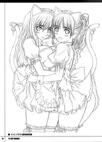 (C78) [T2 ART WORKS (Tony)] T2 ART WORKS Genga&Roughshuu