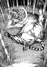 Shikibo Natsu