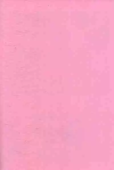 Immoralist丨背德者