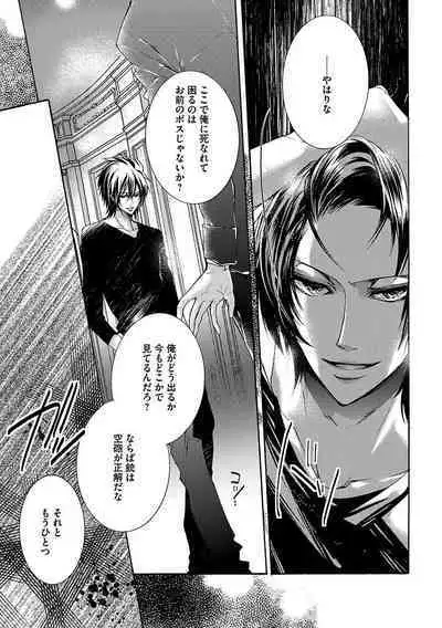 鬼畜兄弟の悶絶調教~私はいいなり奴隷~