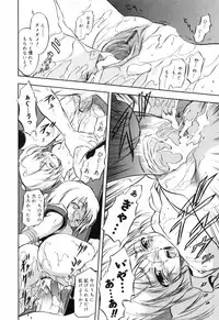 [Tomozawa Shou] Mitsuiro no Maihime