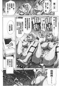 [Hori Hiroaki] Mesuochi Z ~Kyousei Ninkatsu Haigou Zukan~ | 淫牝墮落Z ~強制妊活配合図鑑~ [Chinese]