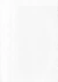 (C65) [Digital Lover (Nakajima Yuka)] D.L. Action 22 (Ragnarok Online)