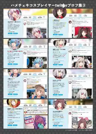 Cosplayer Hame Cheki Shuu:Soushuuhen