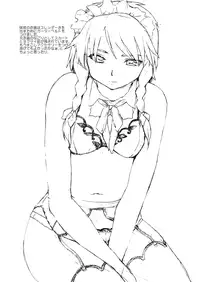 [PARANOIA CAT (Fujiwara Shun'ichi)] Touhou Ukiyo Emaki Hong Meirin (Touhou Project)