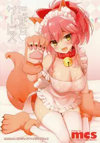 (COMIC1☆13) [TOYBOX, Kujira Logic (Kurikara, Kujiran)] Tamamo Service (Fate/Grand Order)