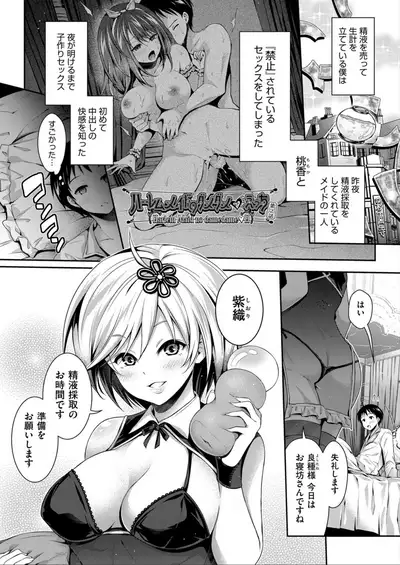 Harem Maid No Damedame Ecchi