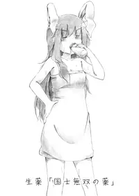 [YasunaoZ (Yasunao)] Touhou Nyuuyokufu (Touhou Project) [Digital]