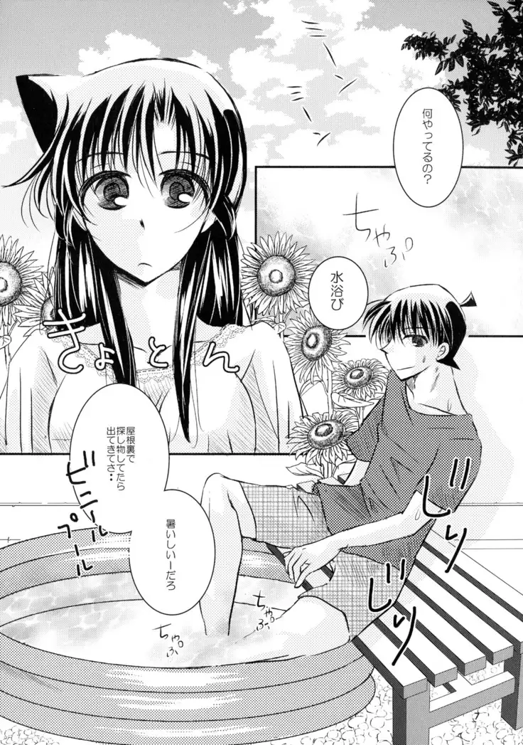 MACARON-CHOCOLAT-DOLCE