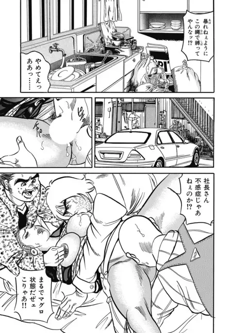 Yokkyuu Fuman no Hitozuma Furin Nikki