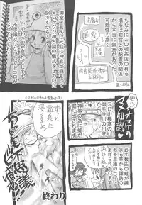 (C77) [Nihon WaruWaru Doumei] Wind Writing, Earth Writing (Touhou)