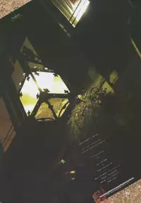 (C85) [TRI-MOON! (Mikazuki Akira!)] vario (Mahou Shoujo Lyrical Nanoha)