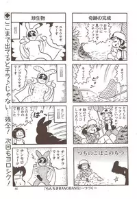 Action Pizazz Special 2009-12