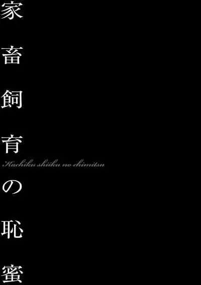 Bichiku Inpu Mariko - Beautiful Lewd Slave Mariko