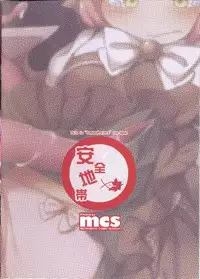 (Reitaisai 15) [Anzen chitai (Funbo)] Sukima Misty (Touhou Project)