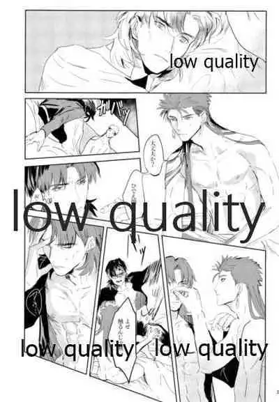 (SUPER26) [Muri Yari (Gibachi)] Hikari no Zou (Fate/stay night)