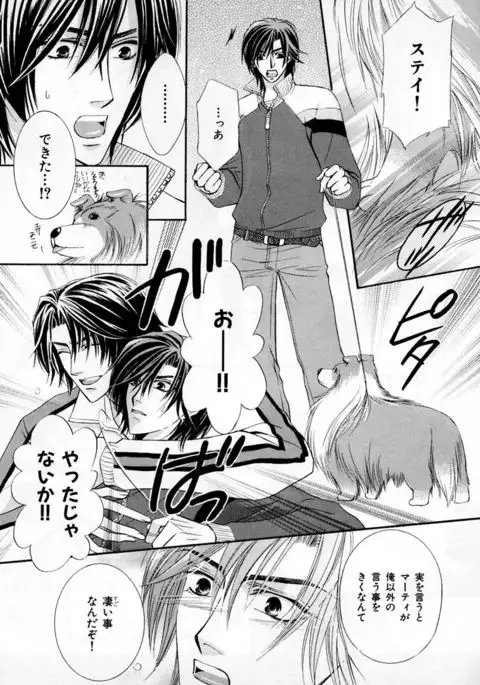 b-BOY Phoenix Vol.3 Tsundere Tokushuu