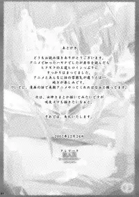 (C73) [Yuuhodou (Telemark)] Hinagiku Haji. (Hayate no Gotoku!)