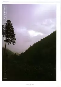 Suigetsu Visual Fan Book