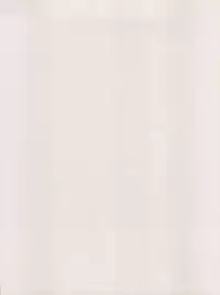 (CR28) [NEXT (Various)] NEXT Climax Magazine 3 Gundam Series (Gundam)