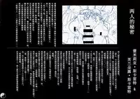 (C86) [Chroma of Wall (saitom)] Gensoukyou Inkou Kirokushuu (Touhou Project) [Chinese] [烂肉X伞尖]