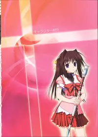 Primitive Link Visual Fanbook