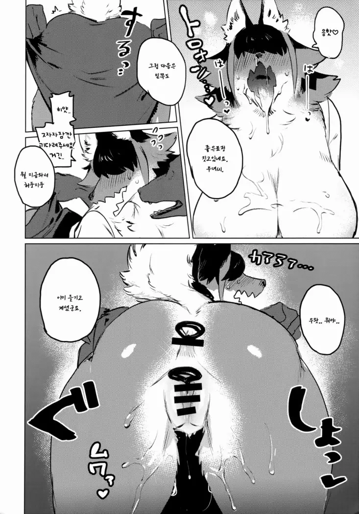 Den-chan no Souiu Hon