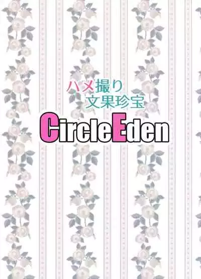 (C93) [Circle Eden (Diisuke)] Hamedori Bunka Chinpou (Touhou Project)[Chinese]【不可视汉化】