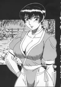 (CR27) [Circle Taihei-Tengoku (Aratamaru)] NIGHT HEAD 11 (Dead or Alive)