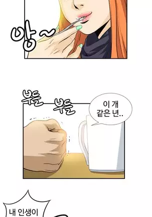 Chauffeur Service Ch.1-30.5